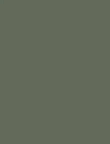 Artichoke Green interior film swatch, Bodaq S201