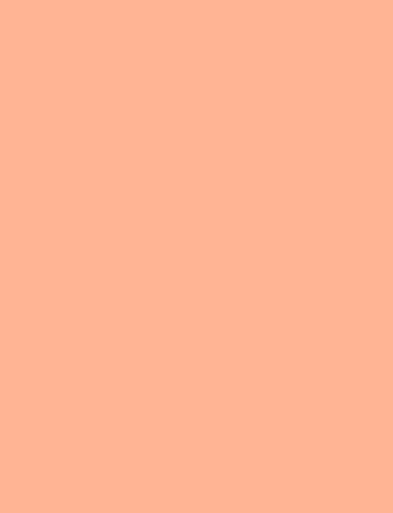 Peach interior film swatch, Bodaq S213