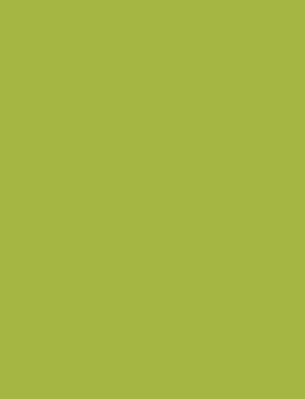 Grass Green interior film swatch, Bodaq S219