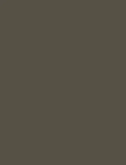 Matte Gray interior film swatch, Bodaq SMT08