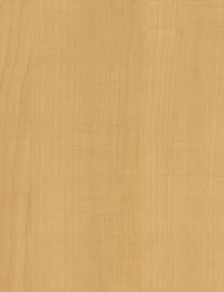 Sycamore interior film swatch, Bodaq W531