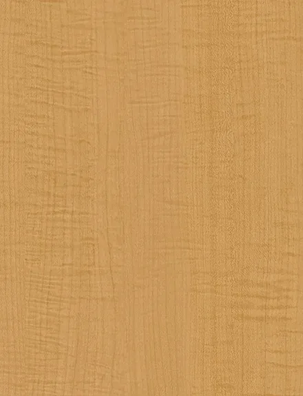Sycamore interior film swatch, Bodaq W845