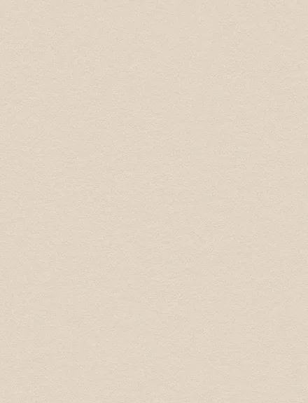 Stone Beige Concrete interior film swatch, Bodaq PNC42