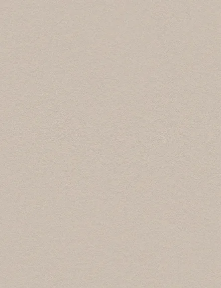 Premium Painted Concrete interior film swatch, Bodaq PNC43