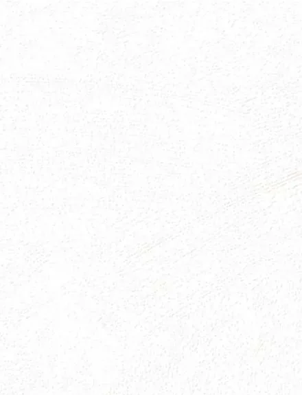 White Moonstone interior film swatch, Bodaq PNC51
