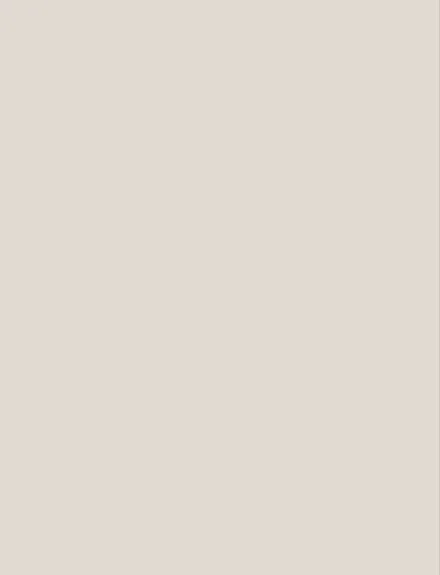 Solid Gray interior film swatch, Bodaq S240