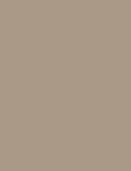 Coffee Latte interior film swatch, Bodaq S246