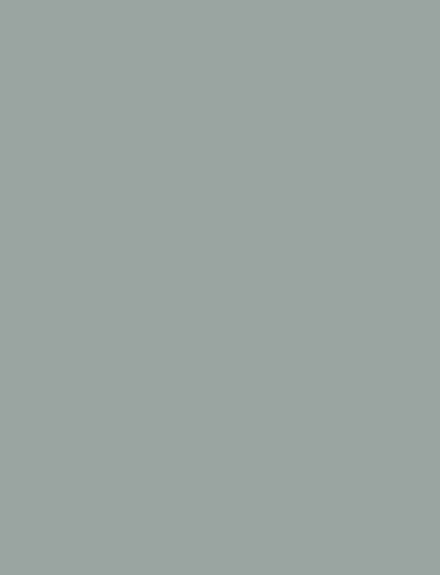 Mint Green interior film swatch, Bodaq S248