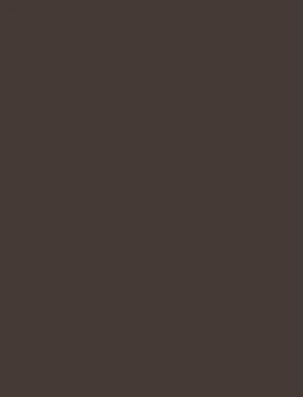Chocolate interior film swatch, Bodaq S253
