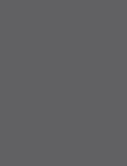 Slate Grey interior film swatch, Bodaq S259