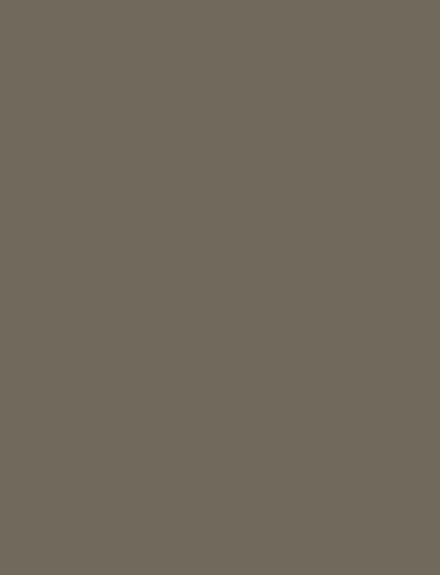 Gray interior film swatch, Bodaq SMT13