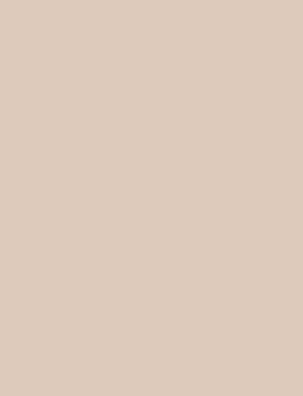 Tan Brown interior film swatch, Bodaq SMT21
