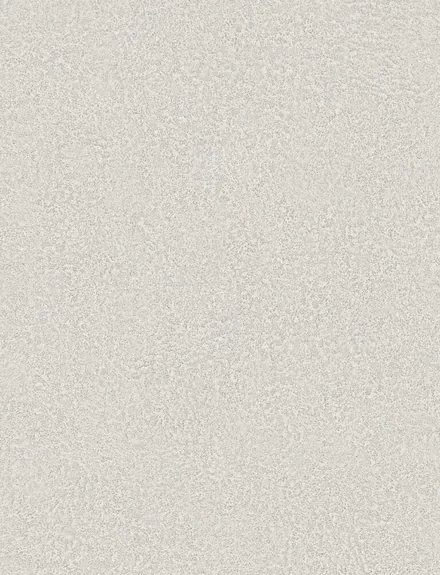 Terranova MonoBlanc interior film swatch, Bodaq BLC04