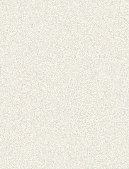 Valen Porcelain interior film swatch, Bodaq BLC03