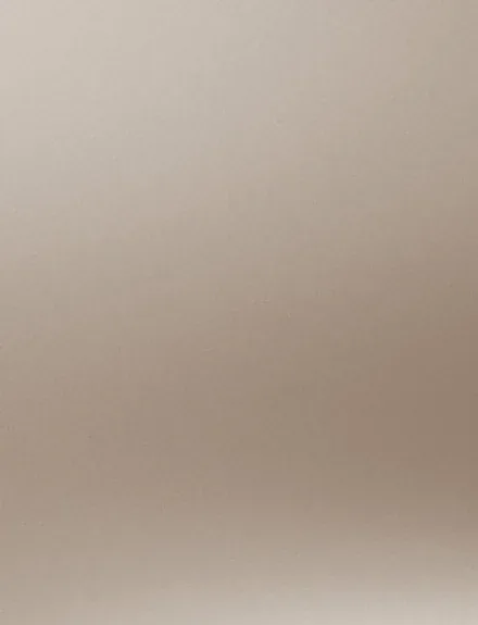Champagne Velvet Metal interior film swatch, Bodaq VM905