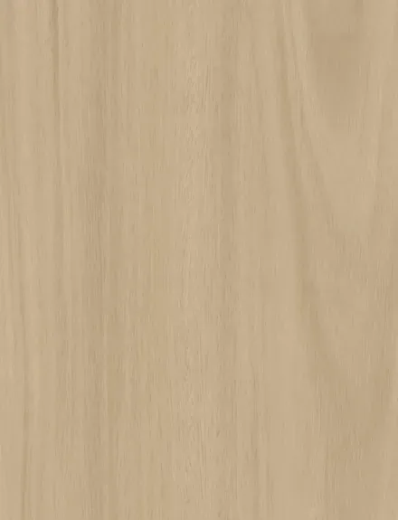 W017 Eucalyptus interior film swatch